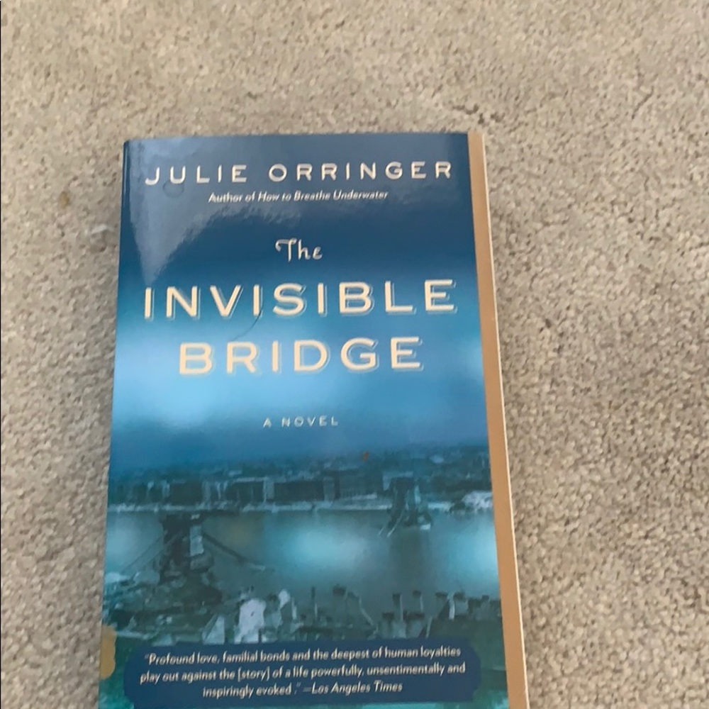 Good Book- The Invisible Bridge